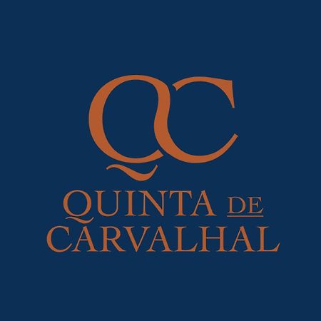 Quinta De Carvalhal - Casa Da Vinha Villa Guimarães Exteriör bild