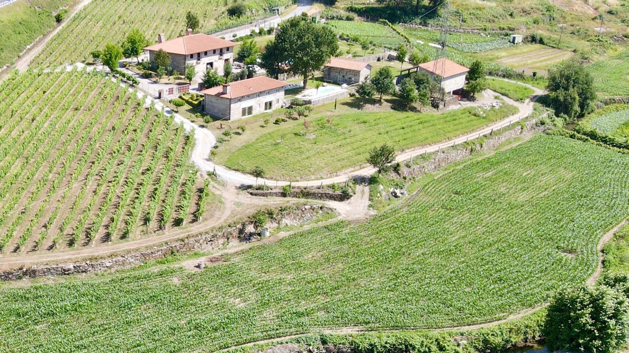 Quinta De Carvalhal - Casa Da Vinha Villa Guimarães Exteriör bild